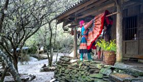 Capture the vibrant beauty of Vietnam with a visa for Norwegian travelers